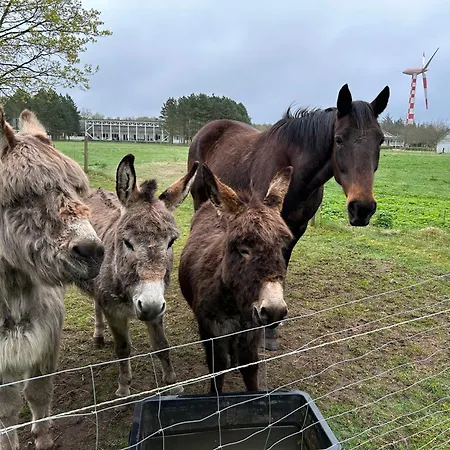 Tvind * Ulfborg