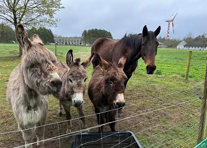 Tvind * Ulfborg